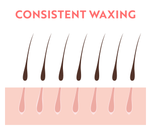 The Shaving Effect with Consistent Waxing