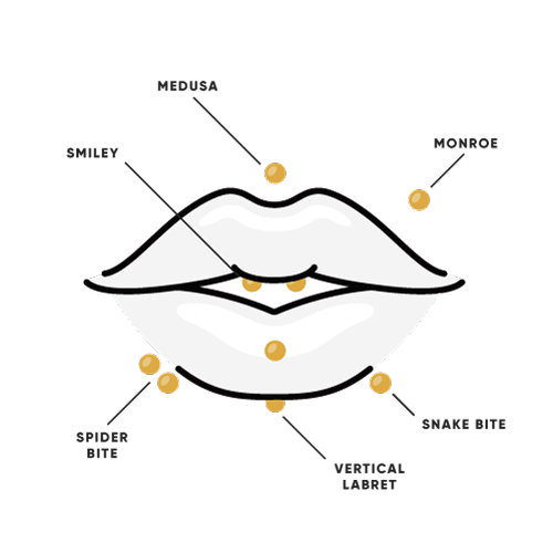 Lip Piercing Diagram - Essential Beauty