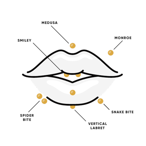 nose piercing chart