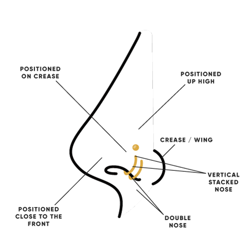 nose piercings diagram