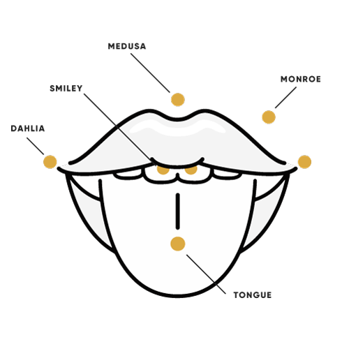 nose piercing chart