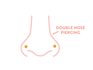 Diagram of a nose with two nose studs