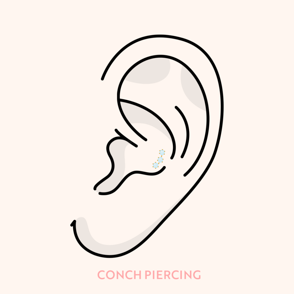conch piercing diagram 