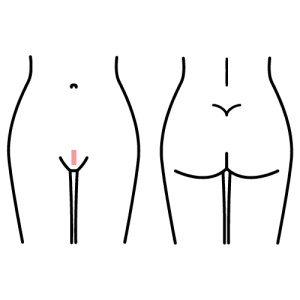 XX Brazilian Wax Diagram