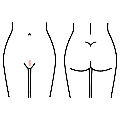 XX Brazilian Wax Diagram