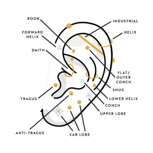 different types of ear piercings