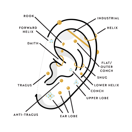 different types of ear piercings