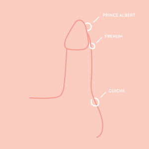 Male Penis Piercing Diagrams
