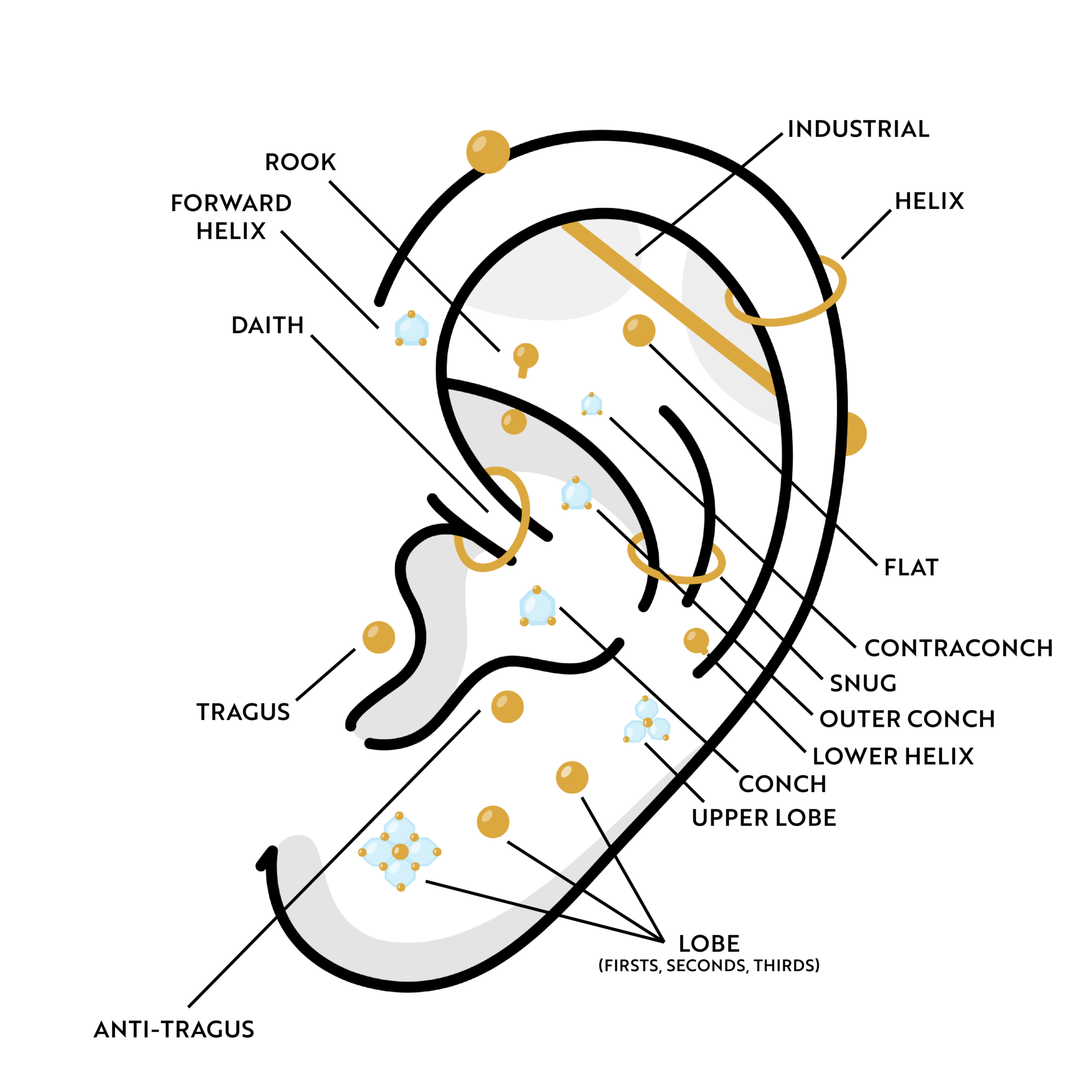 labelled-ear-piercings-essential-beauty-piercing