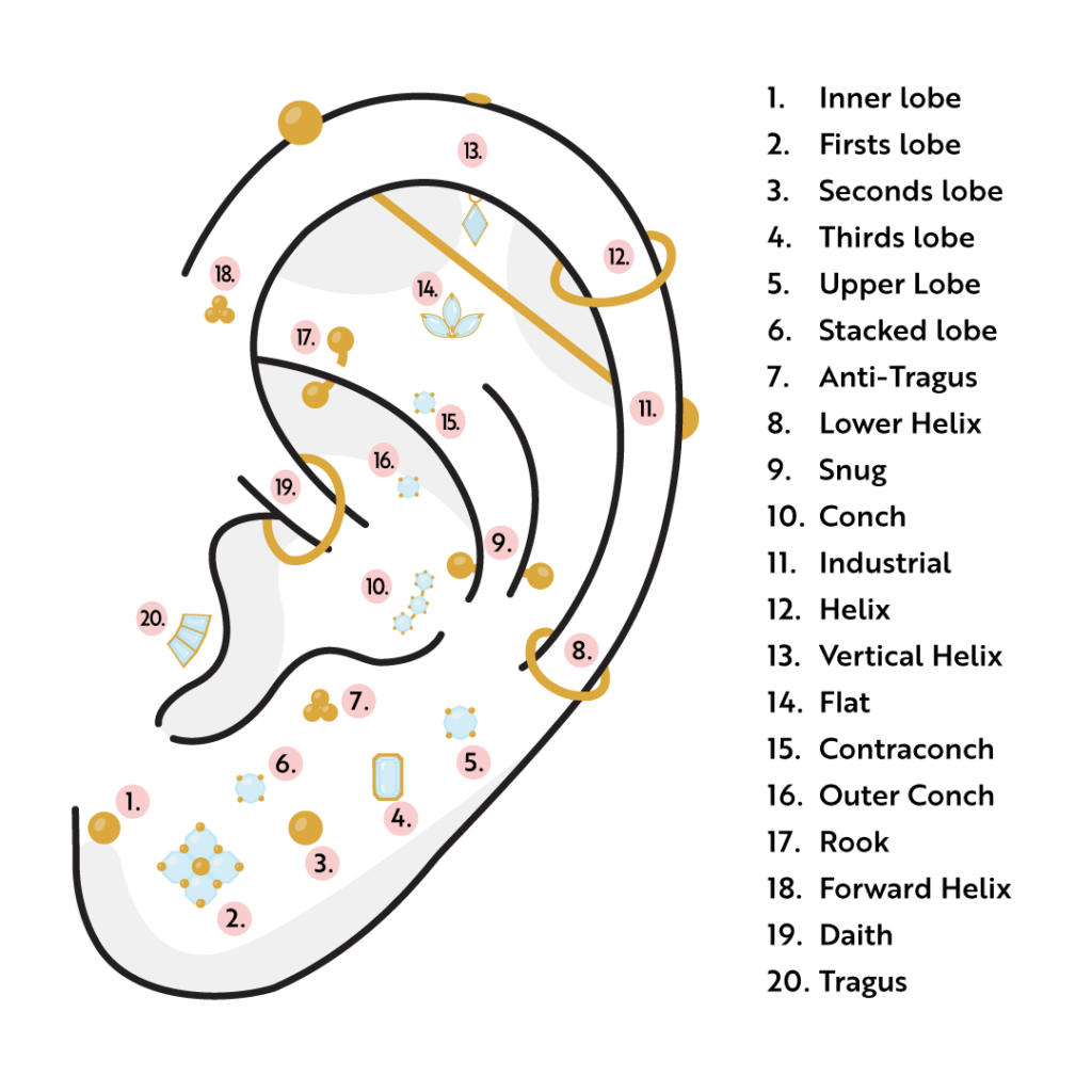 Diagram of an ear with piercings 