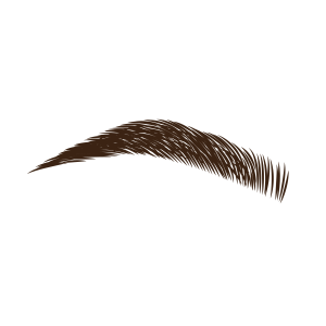 EYEBROW TINT & BROW TINT