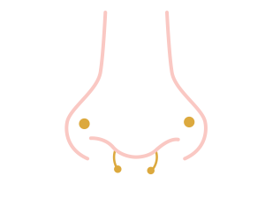 Types of nose piercings