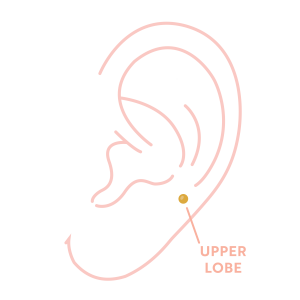 Upper Lobe Ear Piercings at Essential Beauty