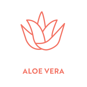 Miracle Ingredient ALOE VERA