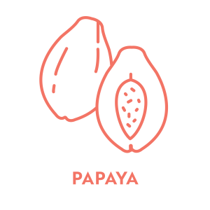 Miracle IngredienT_PAPAYA