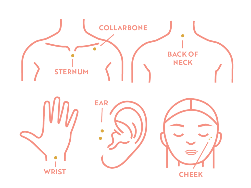 A Guide to Bridge Piercings Essential Beauty & Piercing