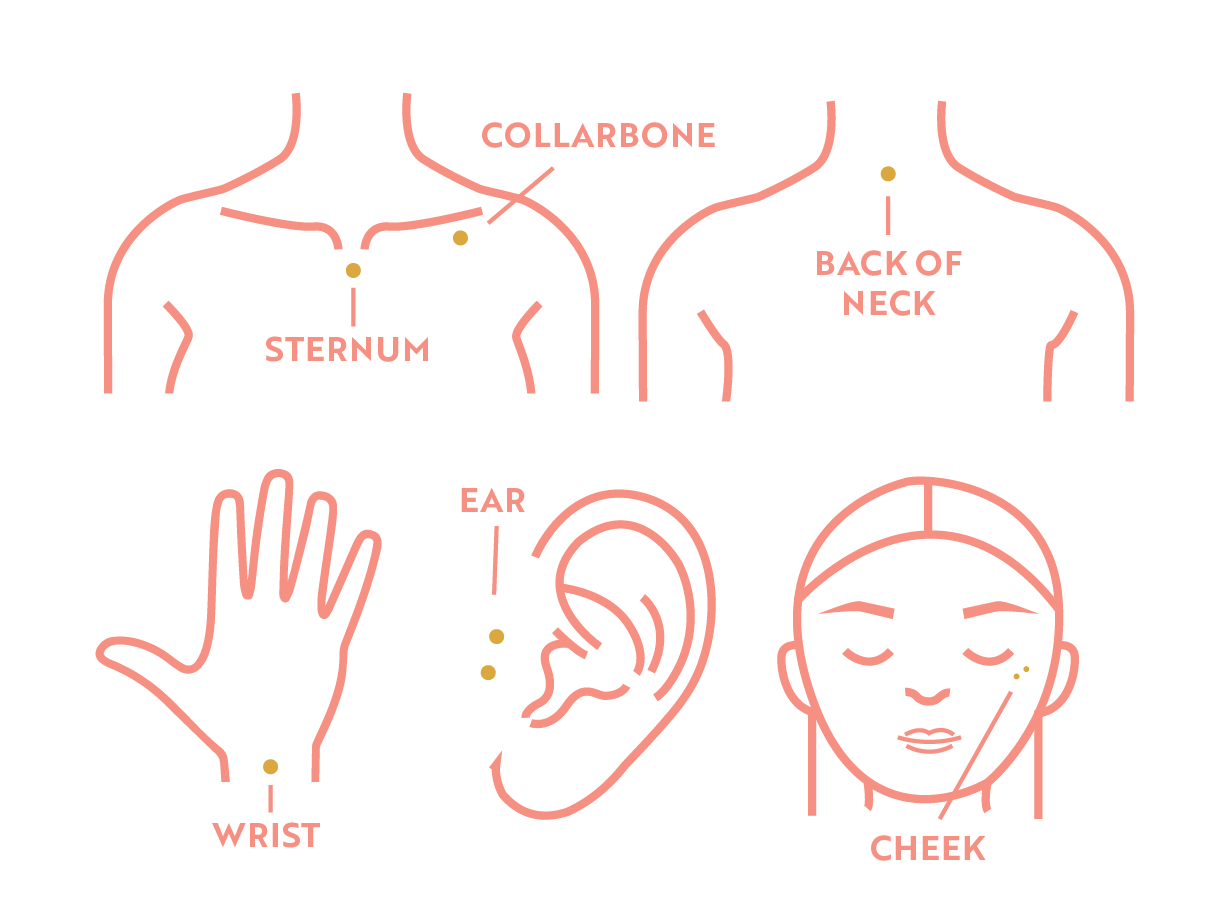 Illustration depicting various placement options for dermal piercings, including the chest, wrist, and face.