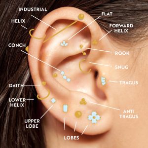 Ear piercing location diagram