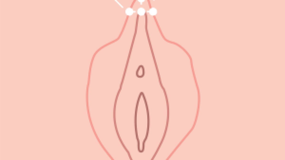 Vagina Piercing Name